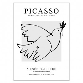 Picasso-Sammlung - FA-005