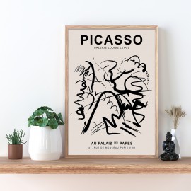 Picasso-Sammlung - FA-007